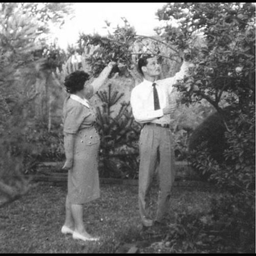 Helma e Jacir